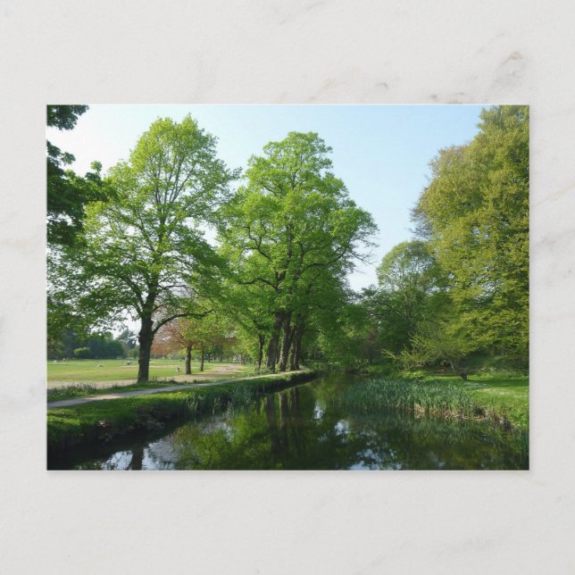 Canal - Bute Park, Cardiff Postcard (Front)