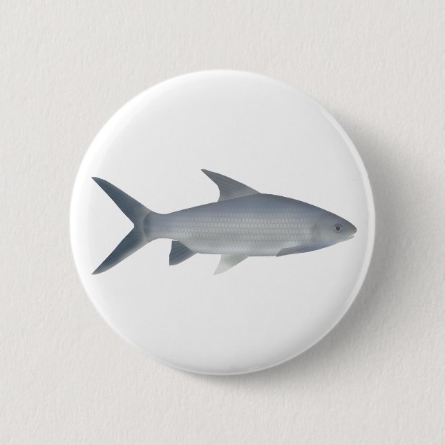 Canara Barb 6 Cm Round Badge (Front)