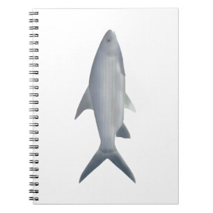 Canara Barb Notebook