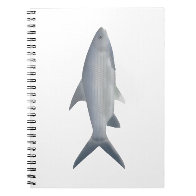 Canara Barb Notebook (Front)