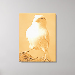 Canary Bird Canvas Print