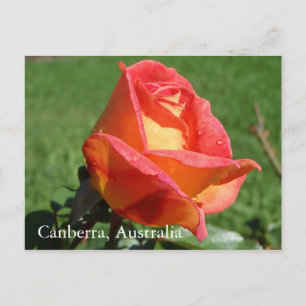 Canberra, Australia postcard
