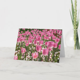 Canberra Tulips Card