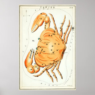 Cancer Constellation Fine Art Print Antique