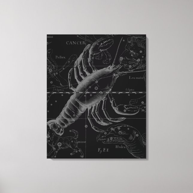 Cancer Constellation Hevelius 1690 Decor (Front)