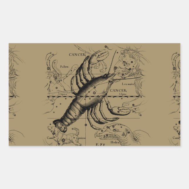 Cancer Constellation Hevelius 1690 Engaving Rectangular Sticker (Front)