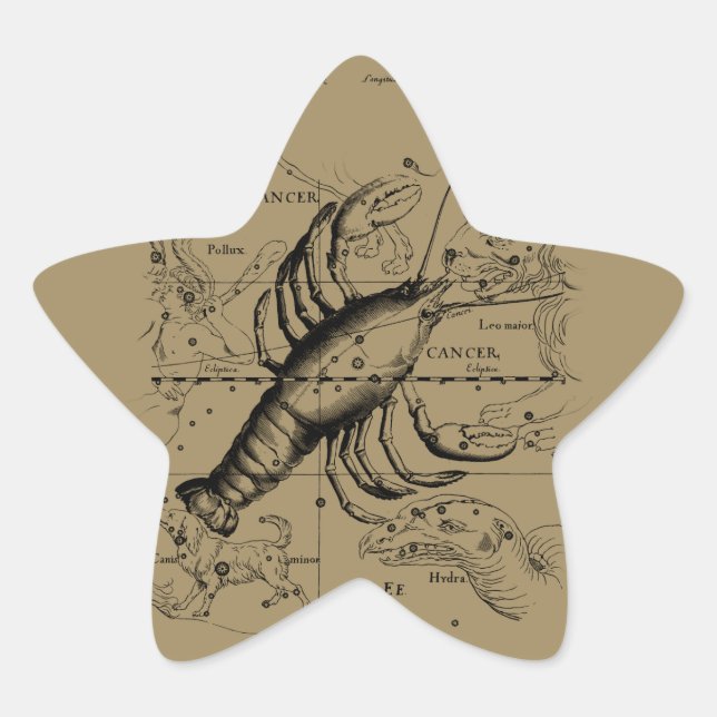 Cancer Constellation Hevelius 1690 Engaving Star Sticker (Front)