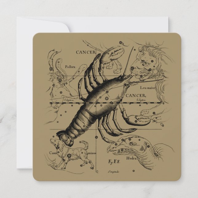 Cancer Constellation Hevelius 1690 June 21-July 22 (Front)