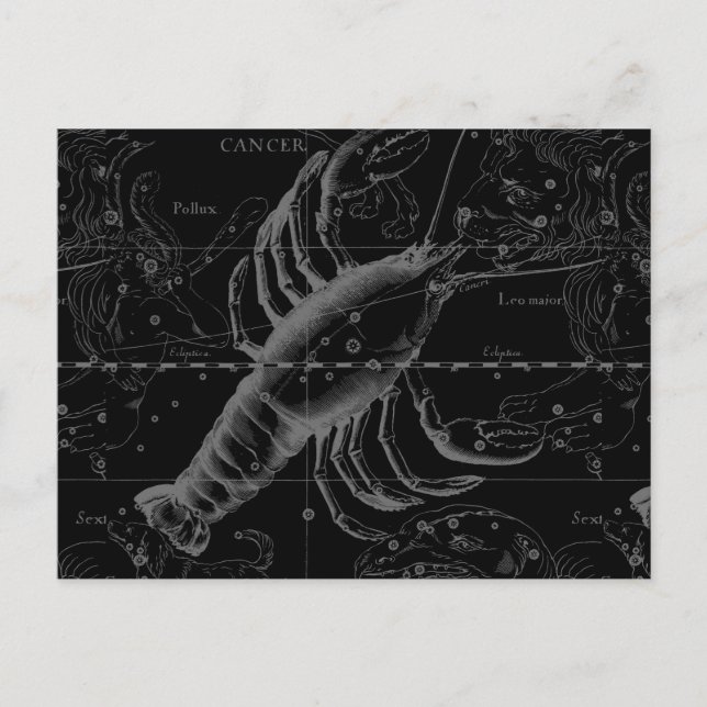Cancer Constellation Hevelius 1690 on Black Postcard (Front)