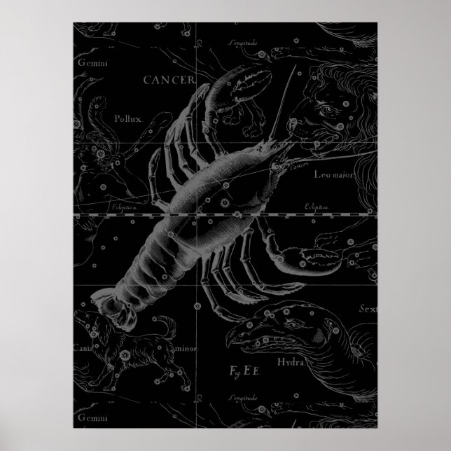 Cancer Constellation Vintage Engraving Hevelius Poster (Front)