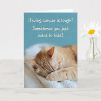Cancer Encouragement Brave Kitty Get Well