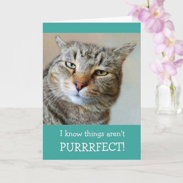 Cancer Encouragement Funny Cat Card (Orchid)