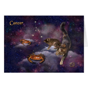 Cancer for Cat Lovers
