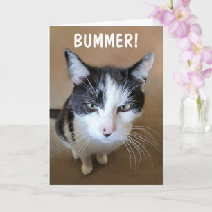 Cancer is a Bummer Card