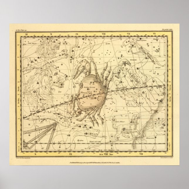 Cancer Poster (Front)