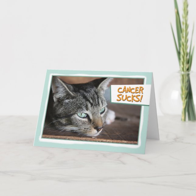 Cancer Sucks, Sad Cat Card (Front)