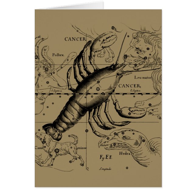 Cancer Zodiac Constellation by Hevelius 1690 (Front)