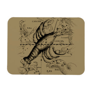 Cancer Zodiac Constellation by Hevelius 1690 Magnet