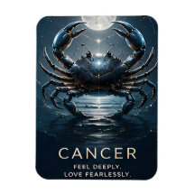 Cancer Zodiac Crab Celestial Astrology Symbol