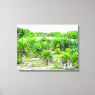 CANCUN, MEXICO #14 CANVAS PRINT