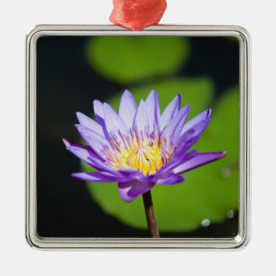 Cancun, Mexico Metal Tree Decoration