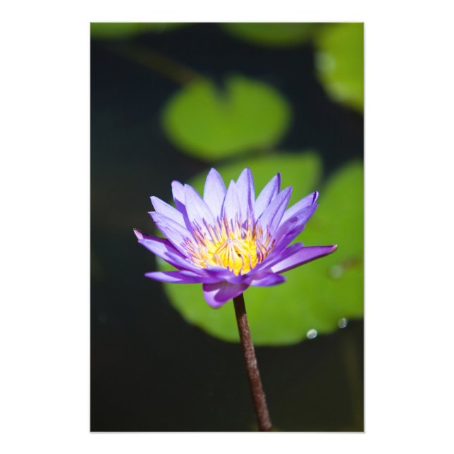 Cancun, Mexico Photo Print (Front)