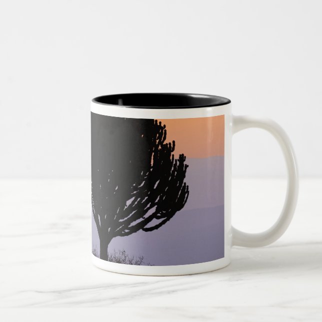 Candelabra Tree silhouetted at sunrise, Two-Tone Coffee Mug (Right)