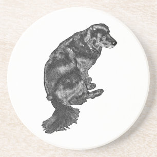 Candlelight Sip Companion — Retriever Coaster