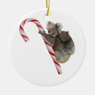 Candy Cane Australian Koala Bears Ceramic Tree Decoration