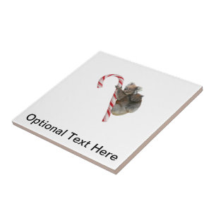 Candy Cane Australian Koala Bears Tile