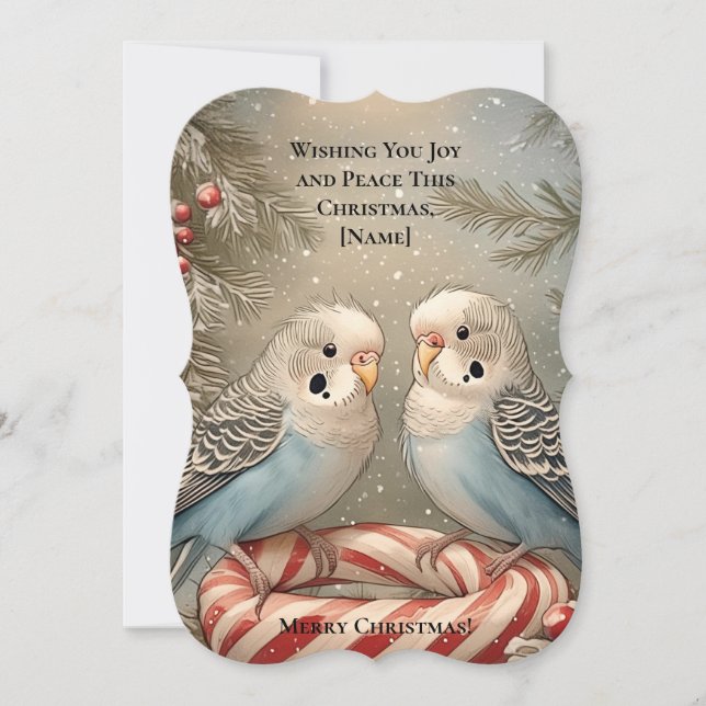 Candy Cane Budgie Christmas Greeting Card (Front)