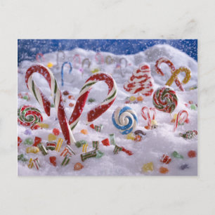 Candy Cane forest Postcard