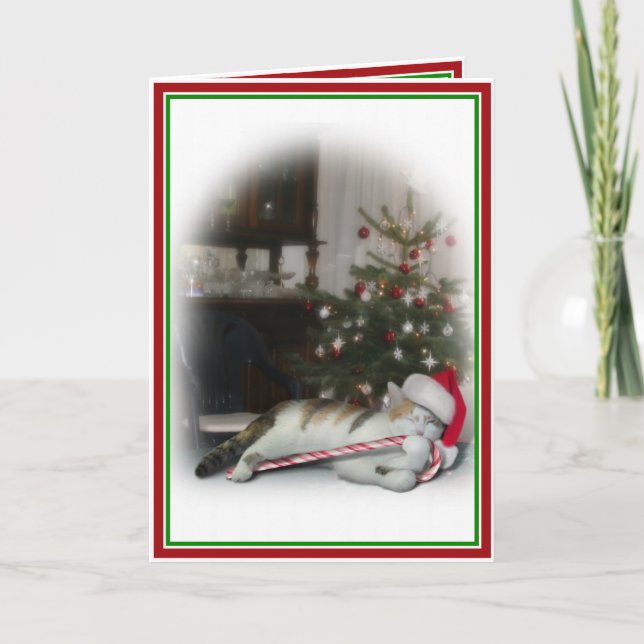 Candy Cane Kitty Christmas  Holiday Card (Front)