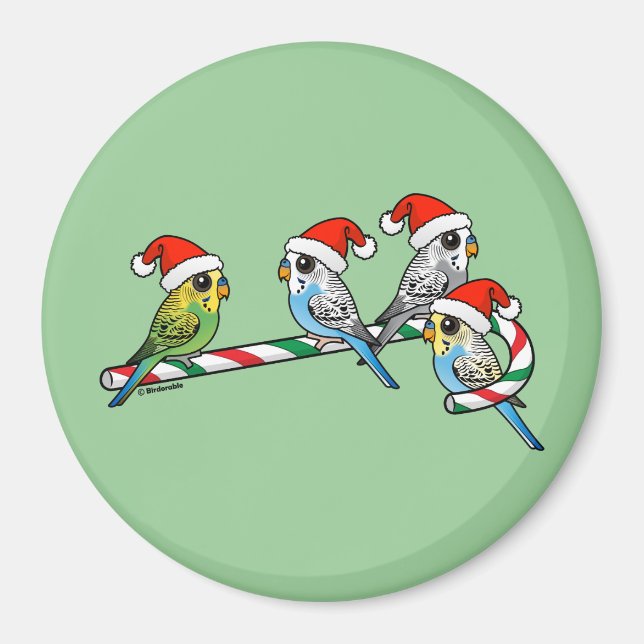 Candy Cane Santa Budgies Magnet (Front)