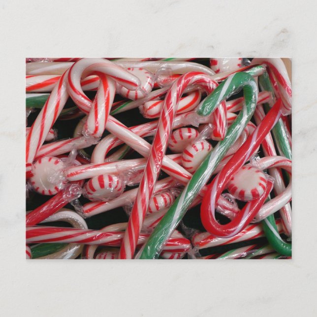 Candy Canes and Peppermints Christmas Holiday Postcard (Front)