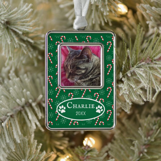 Candy Canes Cat Photo Green Framed Ornament (Tree)
