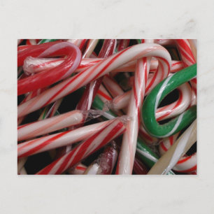 Candy Canes Christmas Holiday White Green and Red Postcard
