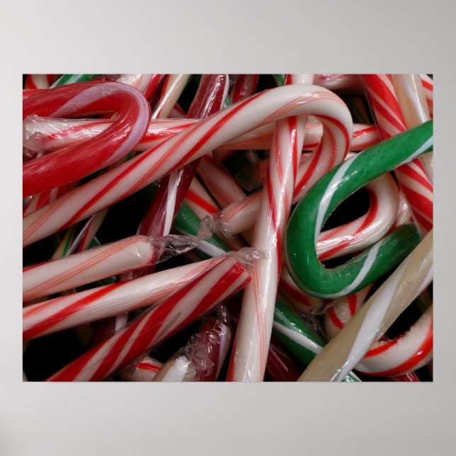 Candy Canes Christmas Holiday White Green and Red Poster (Front)