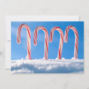 Candy Canes Holiday Card