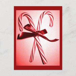 Candy Canes Holiday Postcard