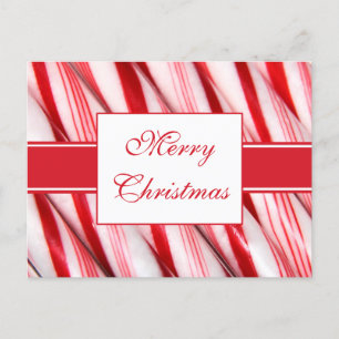 Candy Canes Postcard