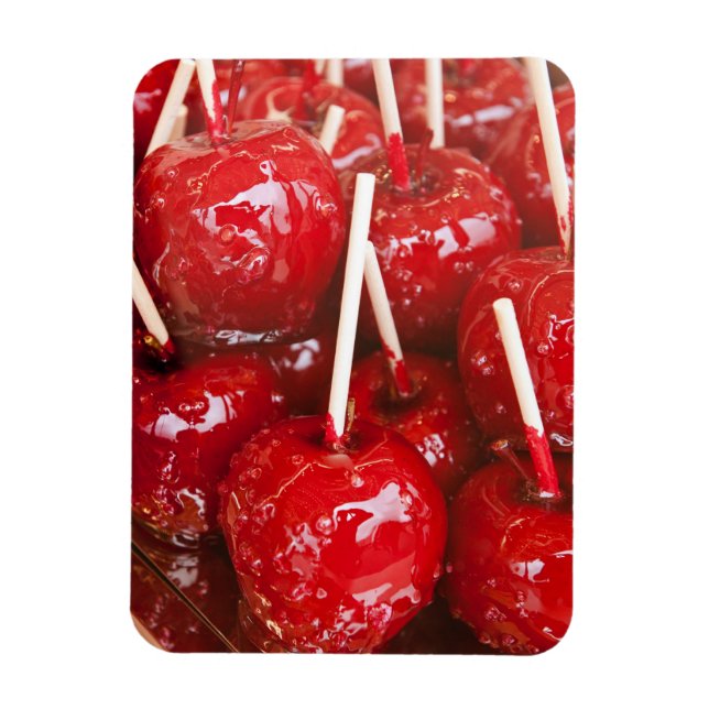 Candy coated fruit at the Stuttgart Beer Festiva Magnet (Vertical)