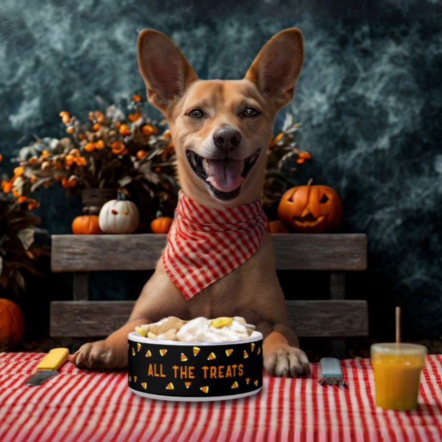 Candy Corn All the Treats Halloween Dog Bowl (A candy corn pattern food bowl for your pet. Let them join in the Howl-oween fun!)