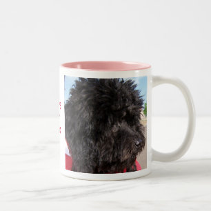 Candy Ginger Snap, I LOVE MYDOOO Two-Tone Coffee Mug