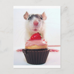 Candy Rat Postcard