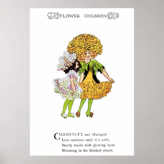 Candytuft and Marigold Poster (Front)