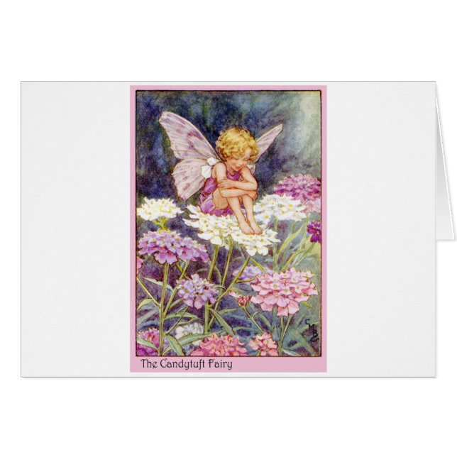 Candytuft Fairy (Front Horizontal)