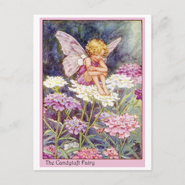 Candytuft Fairy Postcard (Front)