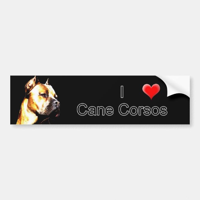 Cane Corso bumper sticker (Front)