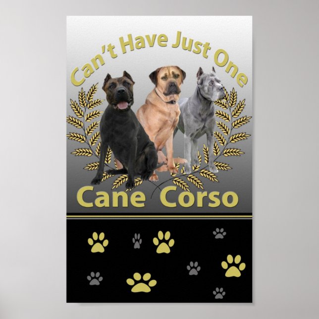 Cane Corso Can't Have Just One Posters and Prints (Front)